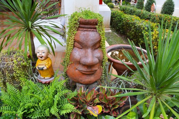 How does community gardening foster social cohesion in neighborhoods?